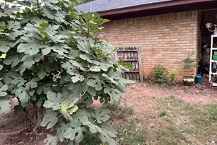 3640 Van Zandt County Rd, Ben Wheeler, TX 75754 - Photo 5