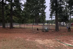 3640 Van Zandt County Rd, Ben Wheeler, TX 75754 - Photo 19