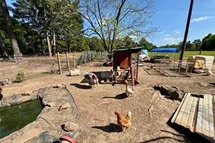 3640 Van Zandt County Rd, Ben Wheeler, TX 75754 - Photo 25