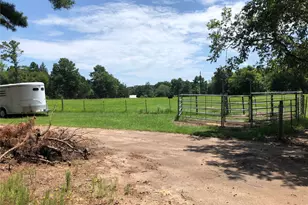 3640 Van Zandt County Rd, Ben Wheeler, TX 75754 - Photo 31