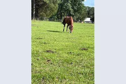 3640 Van Zandt County Road, Ben Wheeler, TX 75754 - Photo 35
