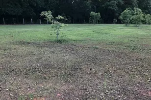 3640 Van Zandt County Rd, Ben Wheeler, TX 75754 - Photo 13