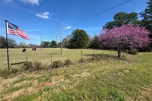 3640 Van Zandt County Rd, Ben Wheeler, TX 75754 - Photo 3