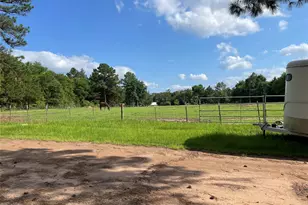 3640 Van Zandt County Rd, Ben Wheeler, TX 75754 - Photo 33