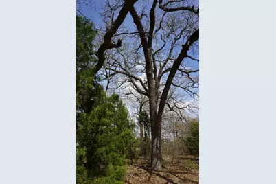 1698 Doc Holiday Dr, Log Cabin, TX 75148 - Photo 21