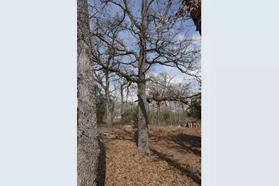 1698 Doc Holiday Dr, Log Cabin, TX 75148 - Photo 19