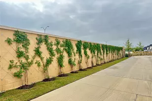 3135 Winter Rose Way, Arlington, TX 76005 - Photo 37