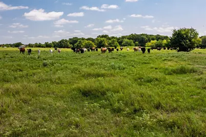 Tbd Hwy 82, Ector, TX 75439 - Photo 9