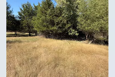 18081 Burden Ranch Dr, Farmersville, TX 75442 - Photo 9