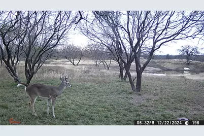 517 County Road 167, Eastland, TX 76448 - Photo 37