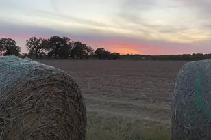 517 Co Rd 167, Eastland, TX 76448 - Photo 39