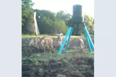 Tba Hwy 144, Walnut Springs, TX 76690 - Photo 3