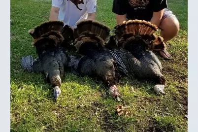 Tba Hwy 144, Walnut Springs, TX 76690 - Photo 5