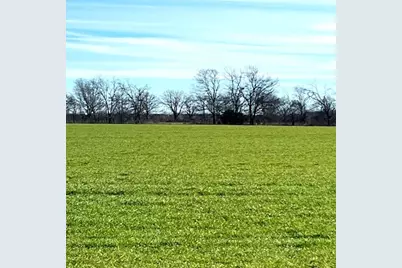 Tbd Farm Road 824, Roxton, TX 75477 - Photo 5
