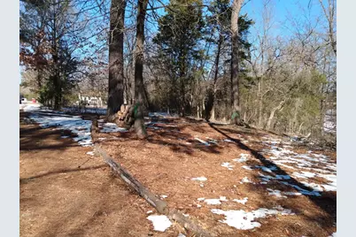 Tbd James Fannin Road, Honey Grove, TX 75446 - Photo 5