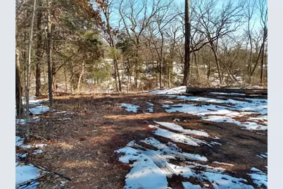 Tbd James Fannin Road, Honey Grove, TX 75446 - Photo 7