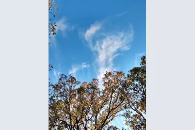 Tbd James Fannin Road, Honey Grove, TX 75446 - Photo 1