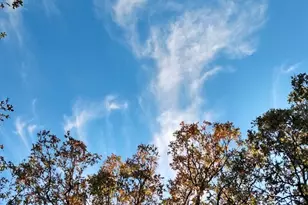 295 James Fannin Rd, Honey Grove, TX 75446 - Photo 1