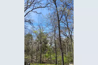 295 James Fannin Road, Honey Grove, TX 75446 - Photo 27