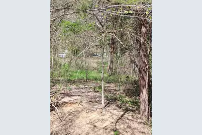 295 James Fannin Road, Honey Grove, TX 75446 - Photo 25