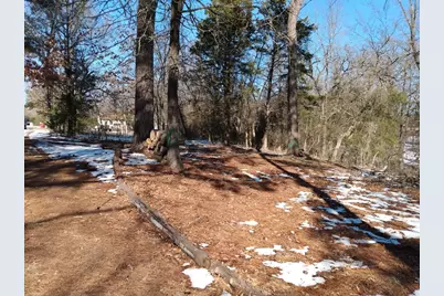 295 James Fannin Road, Honey Grove, TX 75446 - Photo 7