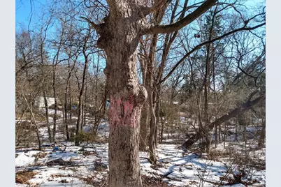 Tbd James Fannin Road, Honey Grove, TX 75446 - Photo 13