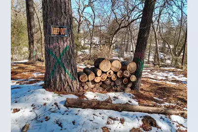 Tbd James Fannin Road, Honey Grove, TX 75446 - Photo 9