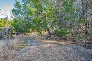 103 Fm 56 S, Glen Rose, TX 76043 - Photo 19