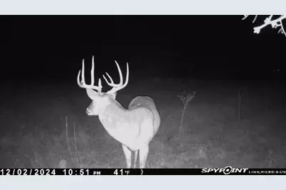 Tbd County Road 343, Dublin, TX 76446 - Photo 5