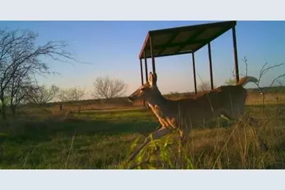 1838 County Road 343, Dublin, TX 76446 - Photo 3