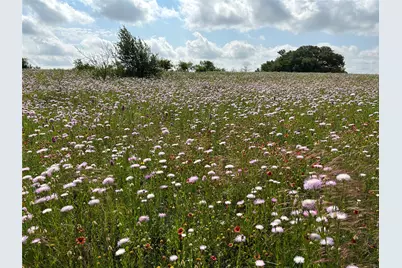 1838 County Road 343, Dublin, TX 76446 - Photo 13