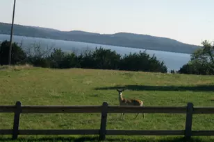 2334 San Bar Rd, Possum Kingdom Lake, TX 76449 - Photo 13