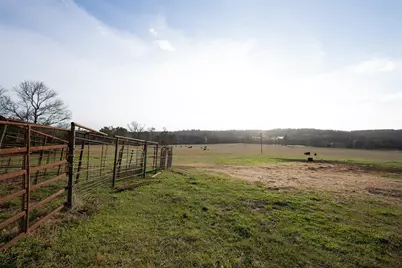 2265 County Road 1613, Jacksonville, TX 75766 - Photo 15