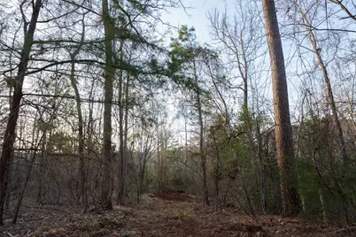 2265 County Road 1613, Jacksonville, TX 75766 - Photo 37