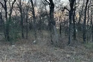 4 Haynie Dr, Runaway Bay, TX 76426 - Photo 1