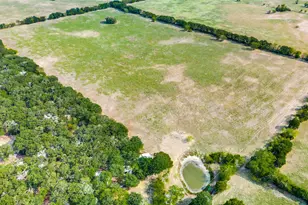 18025 N County Road 4052, Kemp, TX 75143 - Photo 27