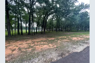 164 Saint Andrews Drive, Mabank, TX 75156 - Photo 17