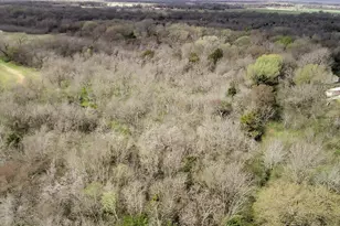 Tbd County Road 666, Kosse, TX 76653 - Photo 3