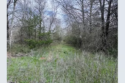 Tbd County Road 666, Kosse, TX 76653 - Photo 7