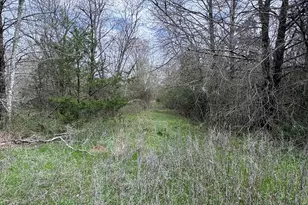 Tbd County Road 666, Kosse, TX 76653 - Photo 7