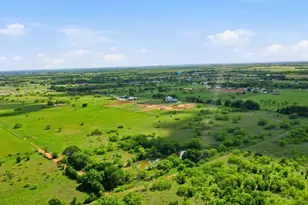 1744 Mambrino Hwy, Granbury, TX 76048 - Photo 5