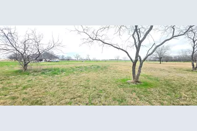 Tbd Buckthorn Drive, Quinlan, TX 75474 - Photo 3