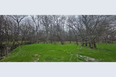 Tbd Buckthorn Drive, Quinlan, TX 75474 - Photo 13