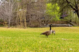 11116 Westmere Cir, Dallas, TX 75230 - Photo 27