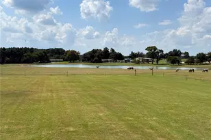 10533 Co Rd 4336, LaRue, TX 75770 - Photo 17