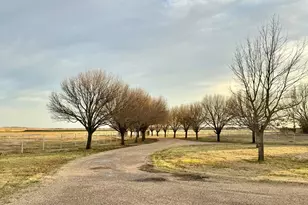 2300 Berend Rd, Pilot Point, TX 76258 - Photo 35