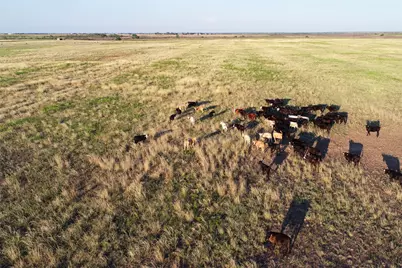 11000 County Road 110 W, Vernon, TX 76384 - Photo 9