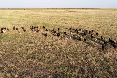 11000 County Road 110 W, Vernon, TX 76384 - Photo 13