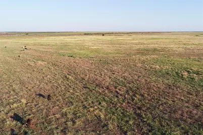 11000 County Road 110 W, Vernon, TX 76384 - Photo 5