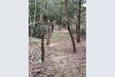 325 County Road 1211, Fairfield, TX 75840 - Photo 31